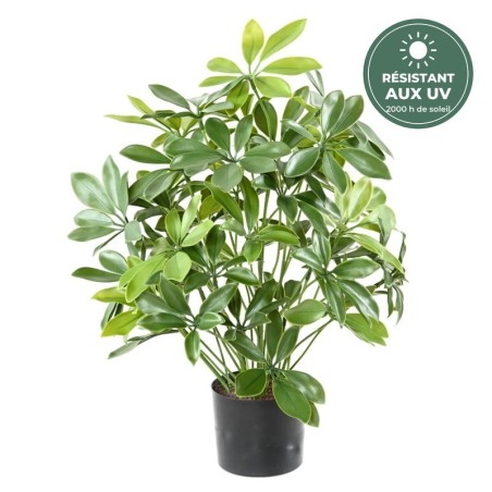 Schefflera artificiel vert 50 cm en pot résistant aux UV, grossiste en plantes artificielles