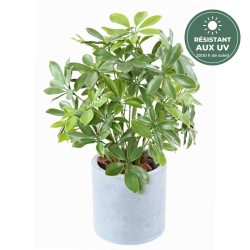 Schefflera artificiel en pot 50 cm, vente en gros pour fleuristes