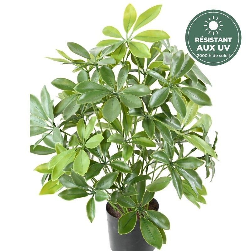 Schefflera vert 50 cm traité UV, grossiste en plantes vertes artificielles