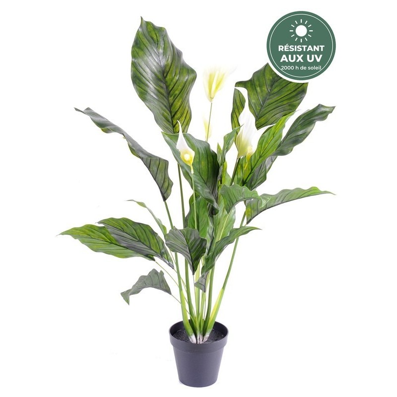 Spathiphyllum artificiel vert 80 cm en pot résistant aux UV, grossiste en plantes artificielles