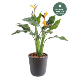 Strelitzia artificiel vert 50 cm résistant aux UV, grossiste en fleurs artificielles exotiques