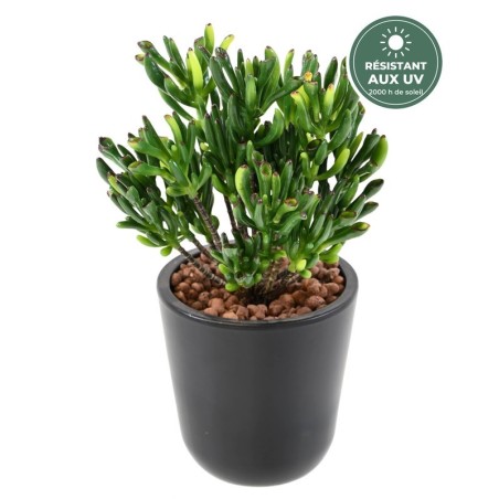 Succulente corail artificielle verte 30 cm résistante aux UV, grossiste en plantes artificielles