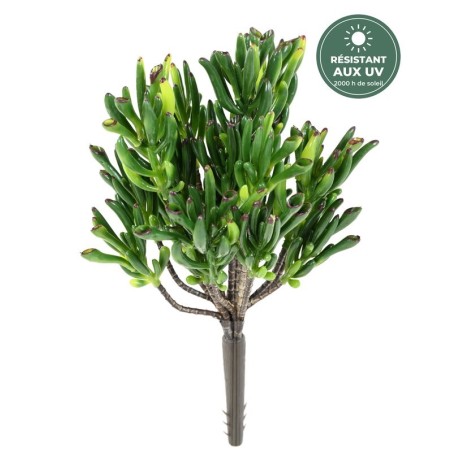 Succulente corail artificielle 30 cm, vente en gros pour fleuristes