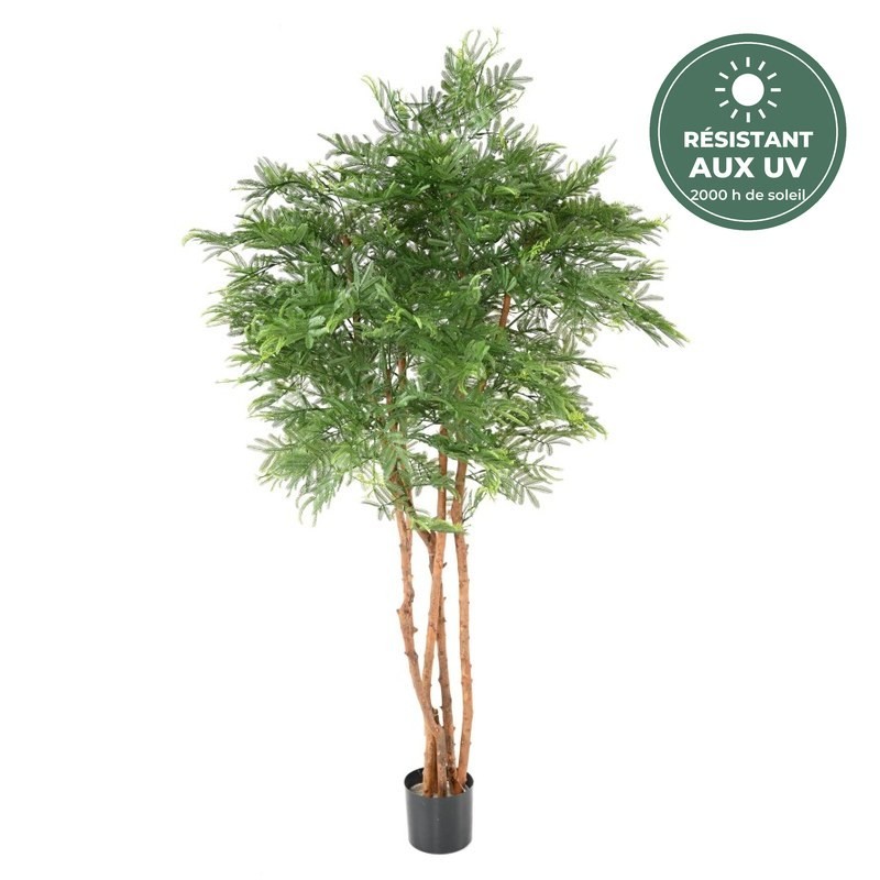 Tamarin artificiel vert 170 cm au feuillage de mimosa, grossiste en arbres artificiels