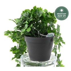 Chute de vigne verte 68 cm en pot traitée UV, grossiste en plantes retombantes