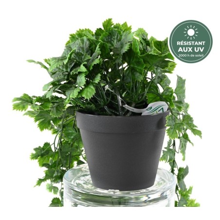 Chute de vigne verte 68 cm en pot traitée UV, grossiste en plantes retombantes