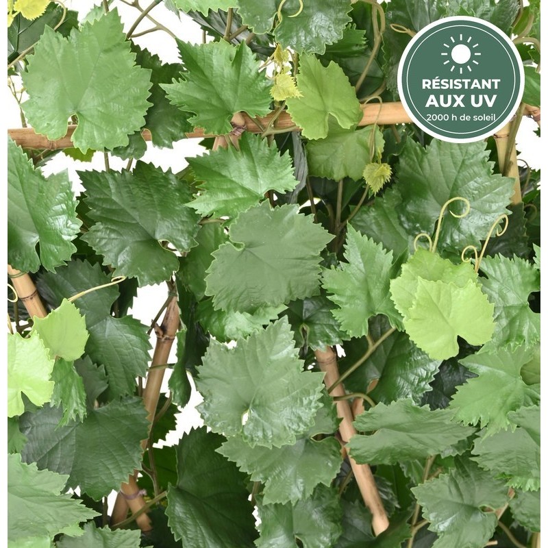 Haie de vigne 145 cm vert sur socle bois, grossiste en brise-vue végétaux