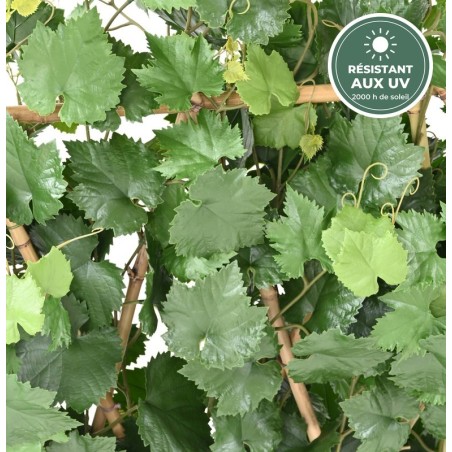 Haie de vigne 145 cm vert sur socle bois, grossiste en brise-vue végétaux
