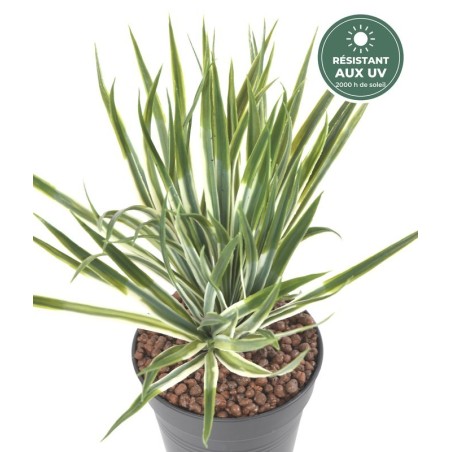 Yucca vert 35 cm traité UV, grossiste en plantes exotiques artificielles
