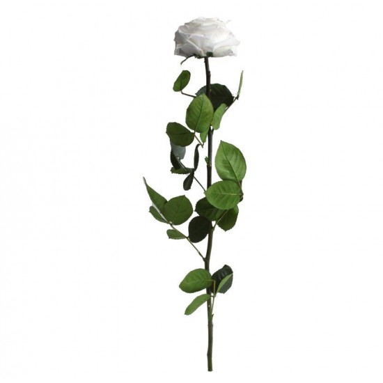 Rose stabilisée sur tige Premium Blanc