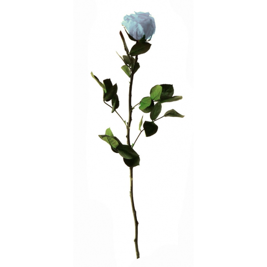 Rose stabilisée sur tige Standard Bleu pastel