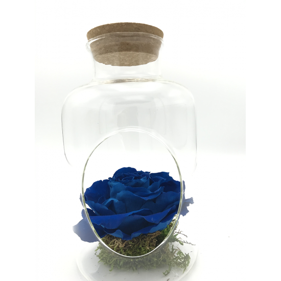Composition Florale Décorative Rose Eternelle en Terrarium - Manon Bleu