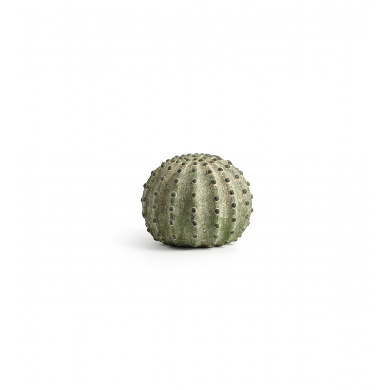 Cactus "coussin de belle mère" en céramique  ø13,5 H10,5cm
