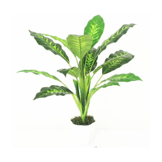 Plante verte artificielle H50cm