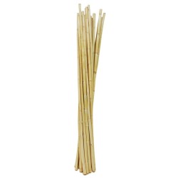Bambou Naturel 15 pièces en 1m ++