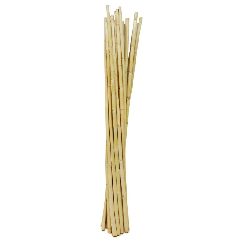 Bambou Naturel 15 pièces en 1m ++