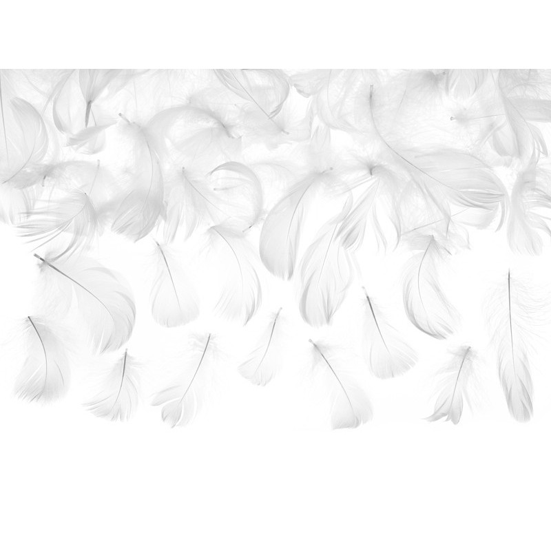 Sachet de plumes décoratives coloris blanc 3g Sachet de plumes décoratives coloris blanc 3g