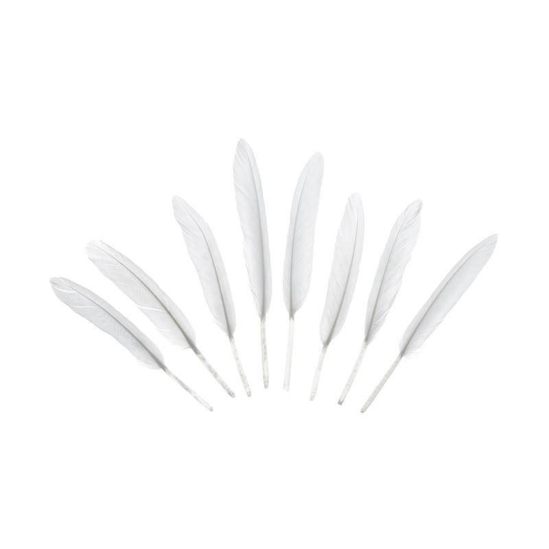 Sachet de 8 plumes blanches décoratives 10-16 cm