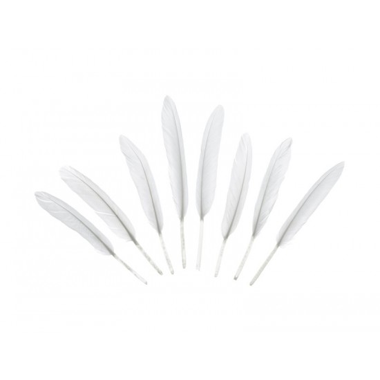 Sachet de 8 plumes blanches décoratives 10-16 cm