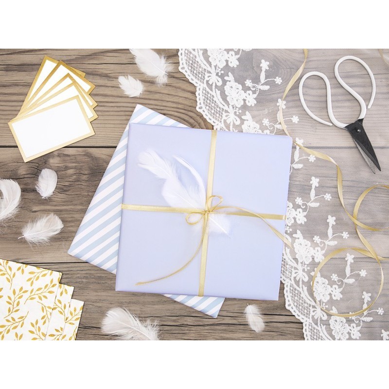 Sachet de plumes décoratives coloris blanc 3g Sachet de plumes décoratives coloris blanc 3g