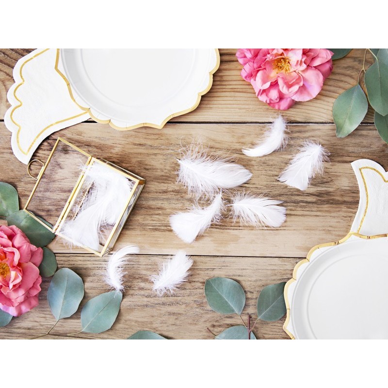 Sachet de plumes décoratives coloris blanc 3g Sachet de plumes décoratives coloris blanc 3g