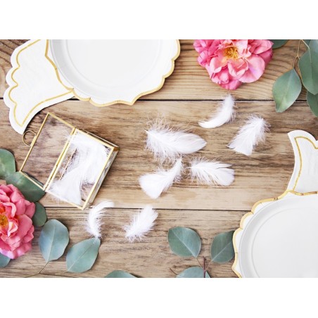 Sachet de plumes décoratives coloris blanc 3g Sachet de plumes décoratives coloris blanc 3g