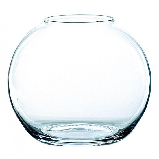Globe verre transparent ø 20cm
