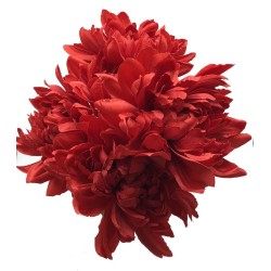 Piquet Dahlia Rouge Maeva 53cm +