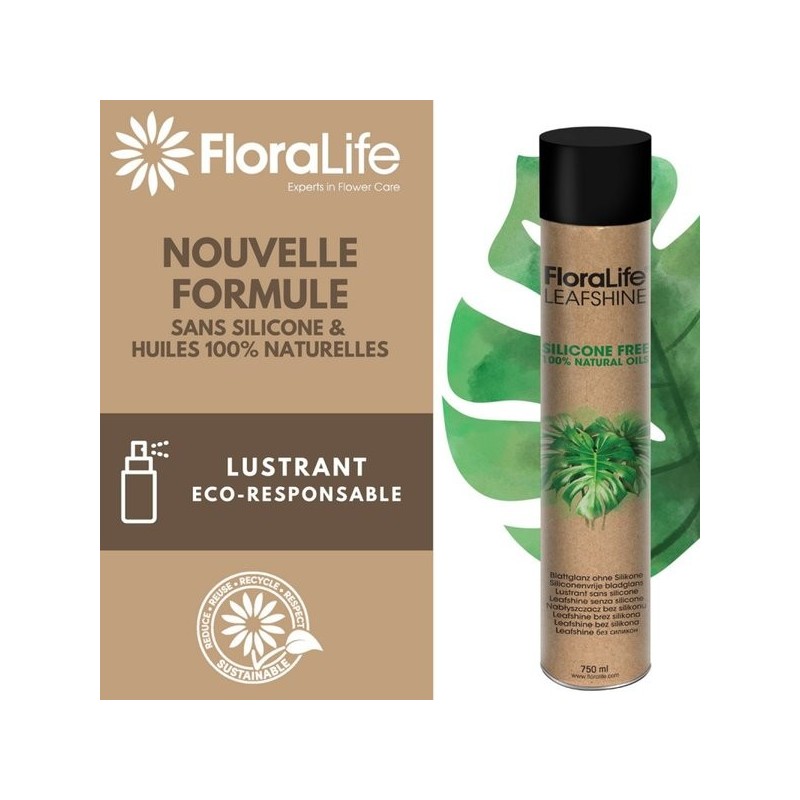 FLORALIFE OASIS ECLAT POUR FEUILLE FEUILLAGES SANS SILICONE 750 ML 83-17021