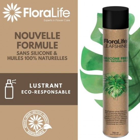 FLORALIFE OASIS ECLAT POUR FEUILLE FEUILLAGES SANS SILICONE 750 ML 83-17021