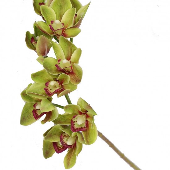 Orchidée Cymbidium Léanne Vert Artificielle H 70cm