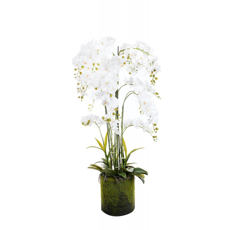 Phalaenopsis Orchidée Blanc - Plante Fleurie Artificielle H 150cm