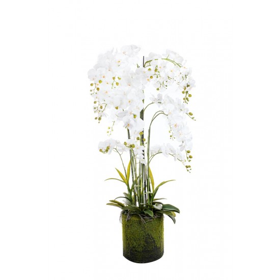 Phalaenopsis Orchidée Blanc - Plante Fleurie Artificielle H 150cm