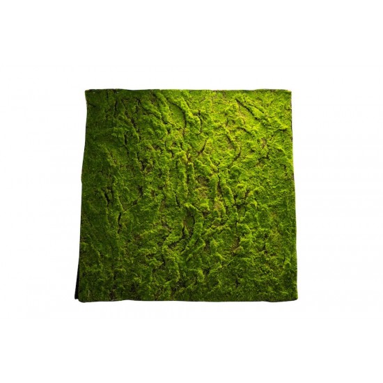 Tapis de Mousse Vert Artificielle Carré 100x100cm