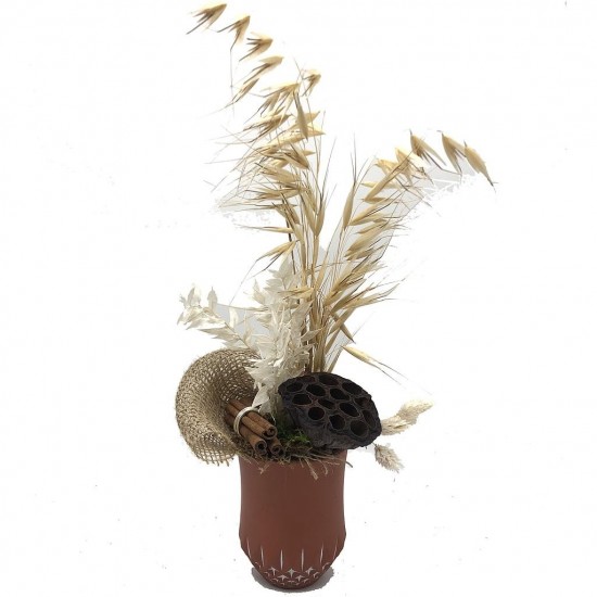 Composition florale décorative - Pot - Epice - Naturel - H38cm