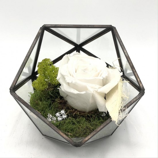 Composition Florale Décorative Rose Eternelle en Terrarium - Précieuse Blanc