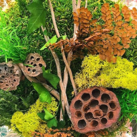 Tableau végétal | Grossiste fleuristes | Qualité prix Tableau végétal | Grossiste fleuristes | Qualité prix