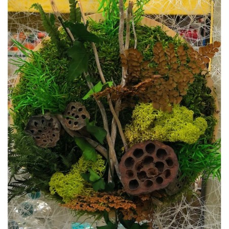 Tableau végétal | Grossiste fleuristes | Qualité prix Tableau végétal | Grossiste fleuristes | Qualité prix