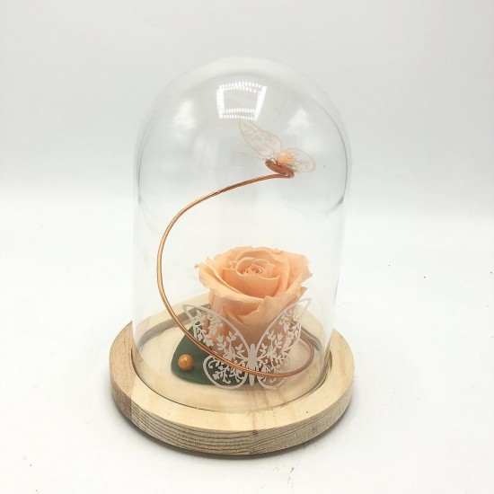 Composition florale décorative - Cloche - Romance - Pêche - ∅12cm H13cm