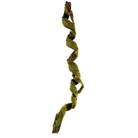 Branche Artificielle H120cm - Liane Mousse Verte