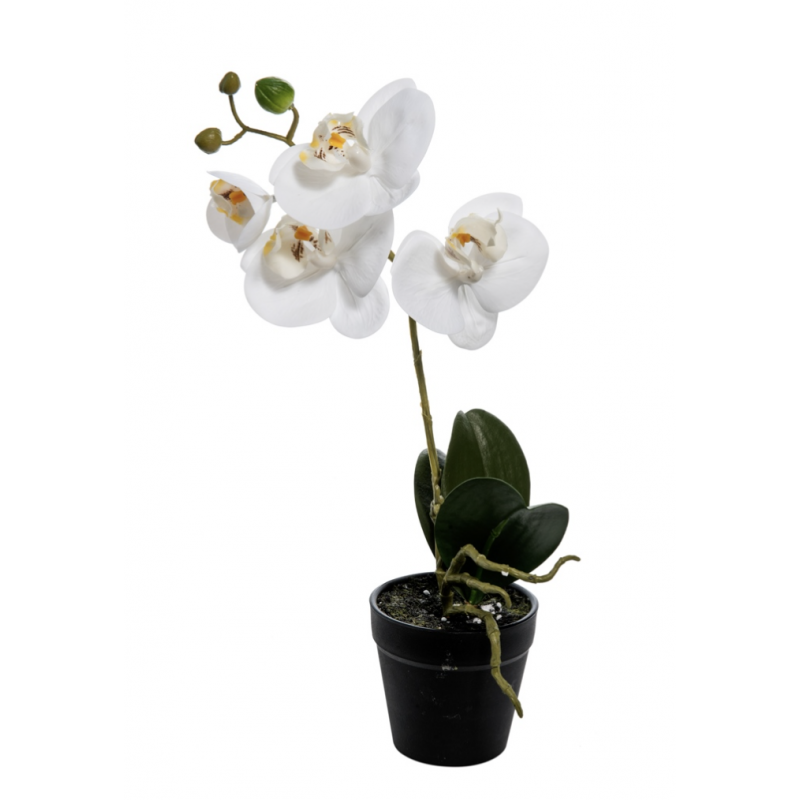 Orchidée Phalaenopsis Blanc - Plante Artificielle H 28cm