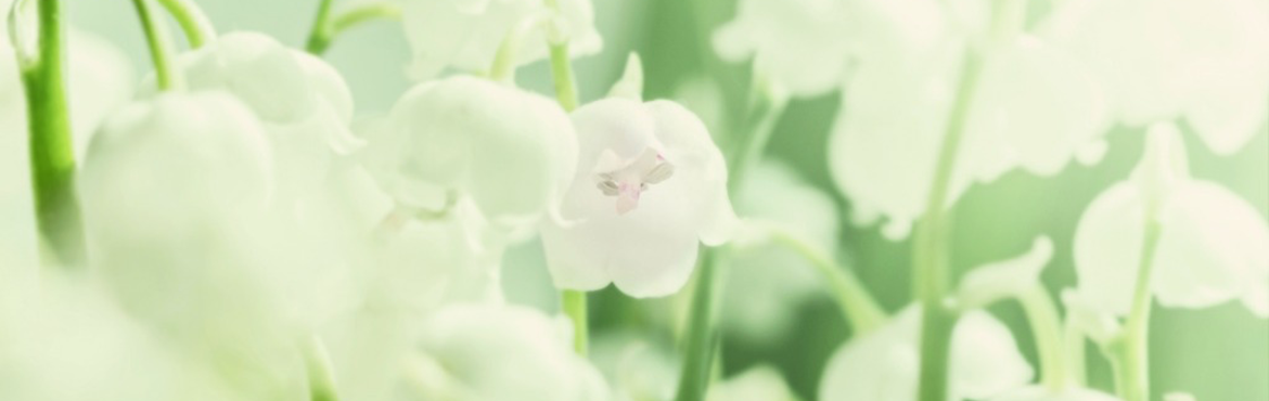 Artiflor - Muguet