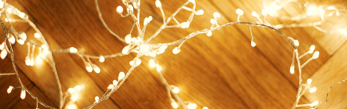 Artiflor | Grossiste pour les professionnels | Lumière et led