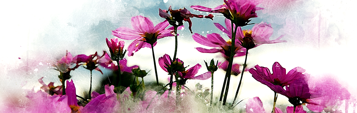Artiflor - Grossiste en accessoires pour fleuriste