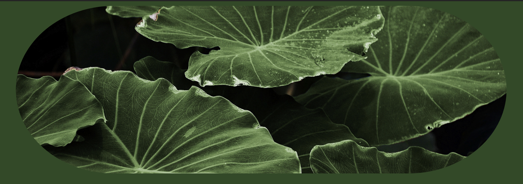Feuillage artificiel | Plantes artificielle | Grossiste déco