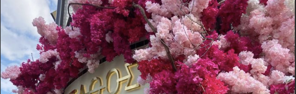 Devanture fleurie prêt-à-poser