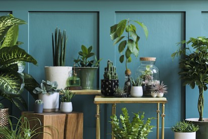 Et si les fleurs artificielles étaient plus écologiques ?